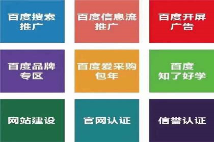 百度竞价公司运营策略：成功案例解析